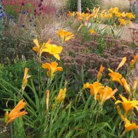 Designers garden