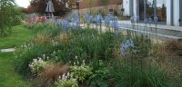 Naturalistic planting
