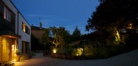 Naturalistic planting