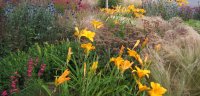 Designers garden